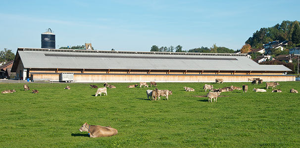 Stallbesichtigung Hess-Select, Dürnten