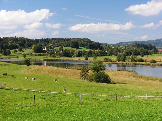 Morgenwanderung Oberländer Moorlandschaft