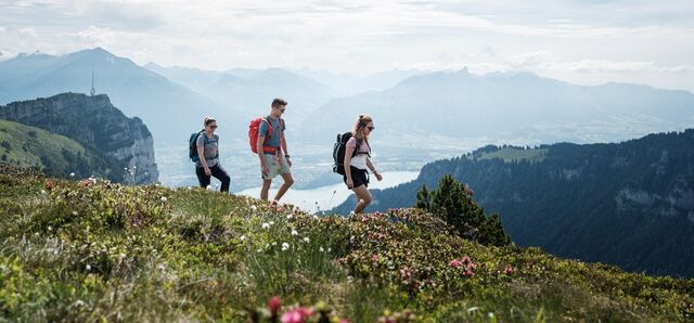 Niederhorn - Beatenberg