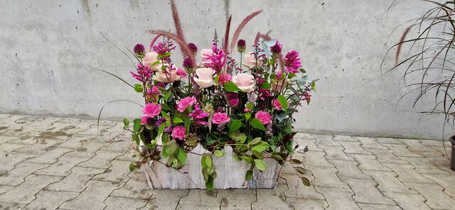 Frühlingszauber bei Guggenbühl