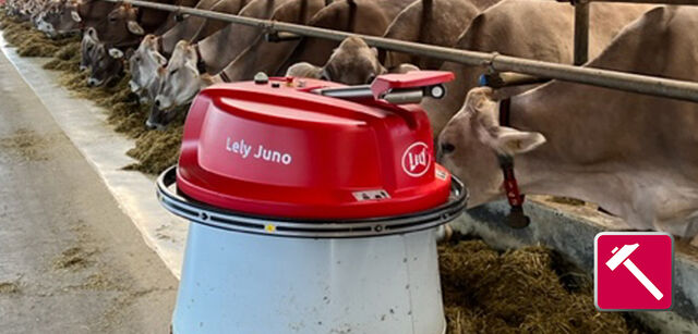 Stallbesichtigung Hess-Select, Dürnten