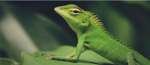 TerraExpo Spreitenbach 03.Mai 2026