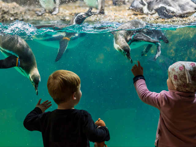 Familienausflug Zoo Zürich