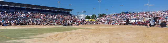 Kantonalschwingfest in Mettmenstetten