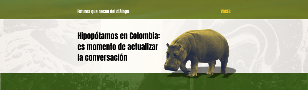 Imagen Hipopótamos en Colombia:  es momento de actualizar  la conversación