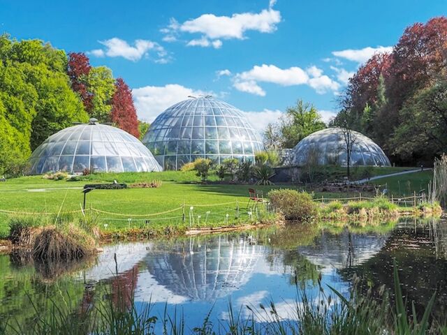 Führung Botanischen Garten