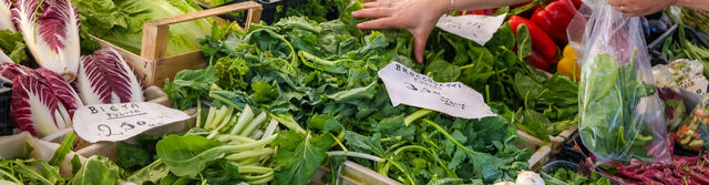 Ausflug Markt in Luino