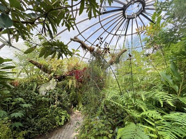Führung Botanischer Garten