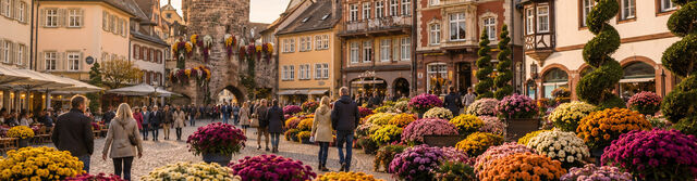 Ausflug zur Chrysanthema in Lahr