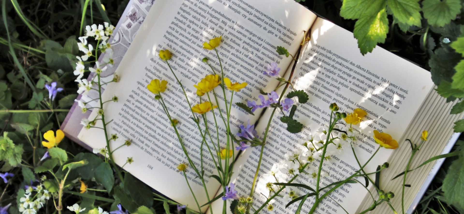 Club de lectura: Mujeres entre lunas, soles y libros