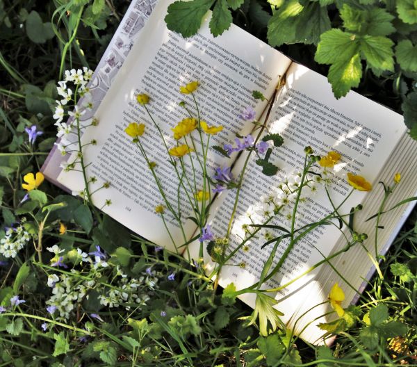 Club de lectura: Mujeres entre lunas, soles y libros