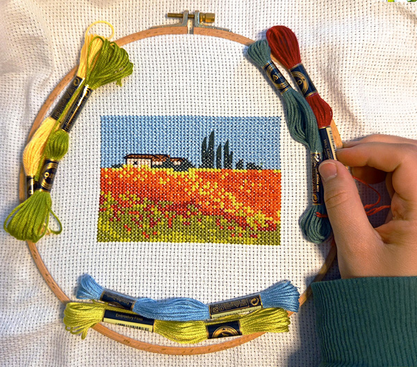 Taller: Bordando el Paisaje