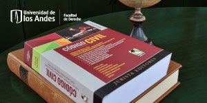 Imagen Los cuarenta años del código civil peruano: balance y perspectivas