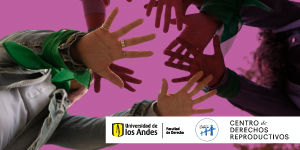 Imagen El trabajo pro bono: una alianza para el avance y la defensa de los derechos reproductivos