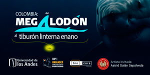 Imagen Colombia, del Megalodón al tiburón linterna enano