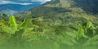 Imagen Presentación del libro «Colombia: Una herida que no cierra. Los procesos de paz de los años ochenta»