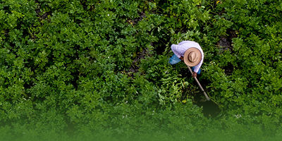 Imagen 2o Encuentro Universidad Estado Sociedad Civil