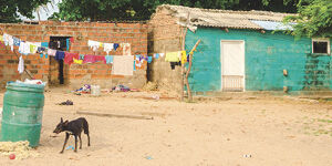 Imagen Seminario Sociología Rural: Formatos no convencionales para investigar y trabajar con comunidades rurales