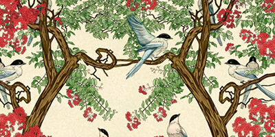 Imagen Lanzamiento del libro «Psicoterapia Analítico Funcional (FAP): Procesos y Prácticas de la Danza Terapéutica en una Terapia Relacional Conductual»