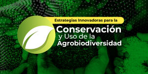 Imagen Estrategias Innovadoras para la Conservación y Uso de la Agrobiodiversidad