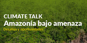 Imagen Amazonía bajo amenaza: desafíos y oportunidades