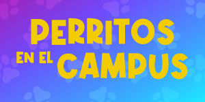 Imagen Vital fest Perritos en el Campus 2025-2 