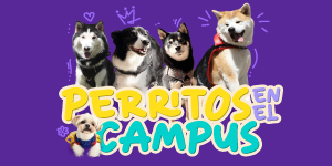 https://cdn.eventtia.com/event_logos/74480/medium/Diadeperritos20261300x15017768821751776882175.png?1776882175