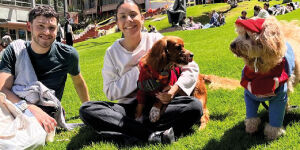 Imagen Perritos en el Campus 2026-2 - vital fest